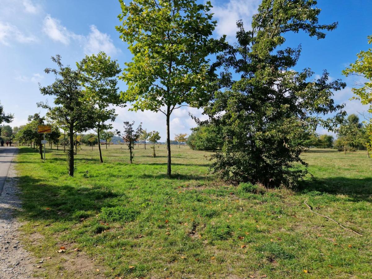 Heringsdorf - Moewe Exterior foto